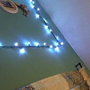 Meet your Posher, Sybil